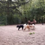 Zino Leni Konrad Mascha